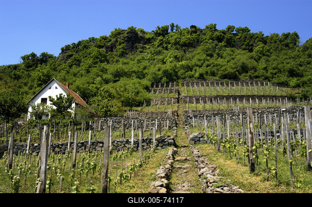 Somló-hegy-stock-foto