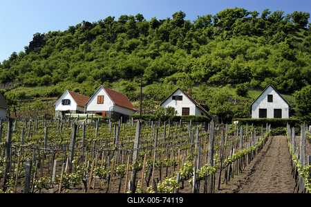 Somló-hegy-stock-foto