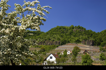Somló-hegy-stock-foto