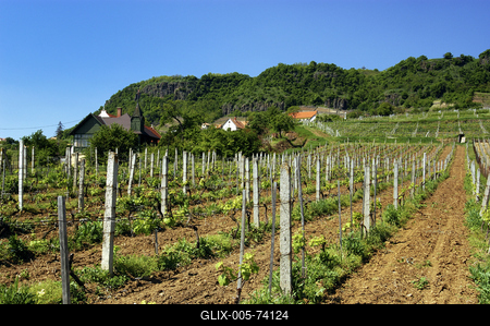 Somló-hegy-stock-foto