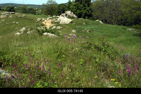 Szentbékkállai kőtenger-stock-foto
