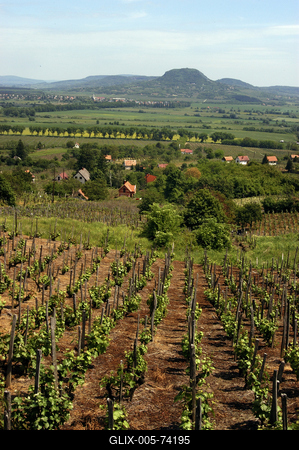 A Balaton-felvidék tanúhegyeinek látványa-stock-foto