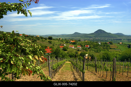 A Balaton-felvidék tanúhegyeinek látványa-stock-foto