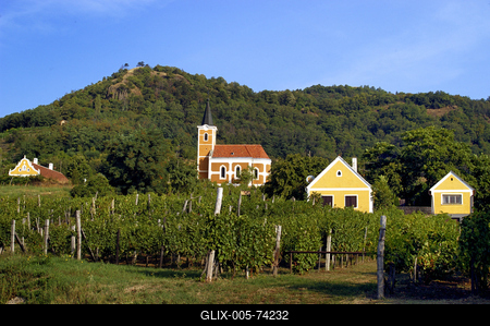 Hegymagas-stock-foto