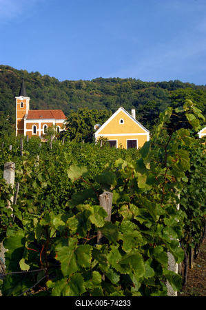 Hegymagas-stock-foto