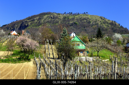 Szent György-hegy-stock-foto