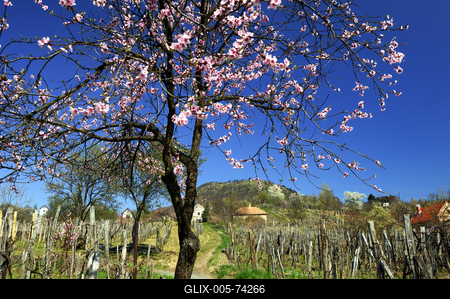 Szent György-hegy-stock-foto