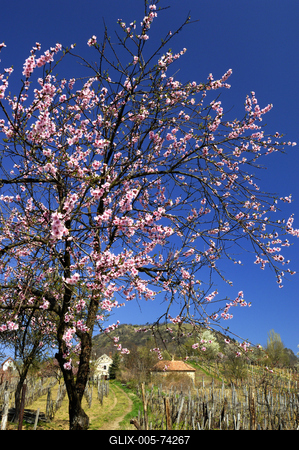 Szent György-hegy-stock-foto