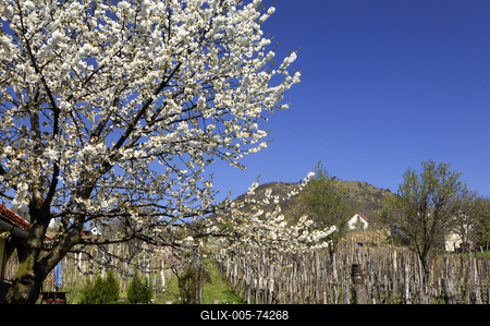 Szent György-hegy-stock-foto