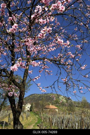 Szent György-hegy-stock-foto