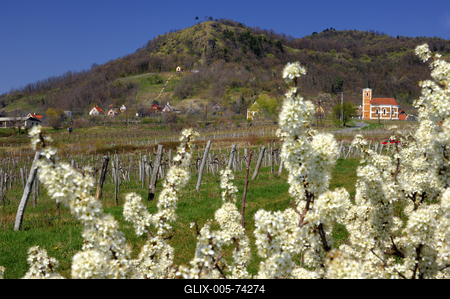 Szent György-hegy-stock-foto
