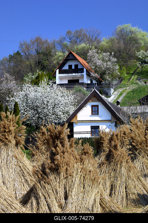 Szigligeti látkép tavasszal-stock-foto