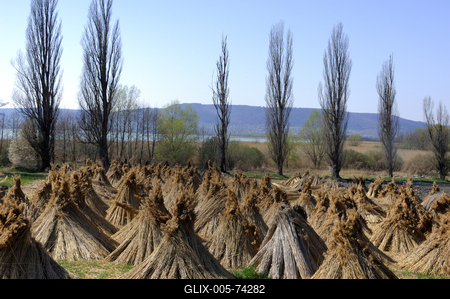 Szigligeti látkép tavasszal-stock-foto