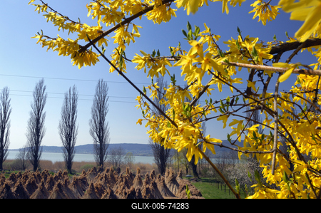 Szigligeti látkép tavasszal-stock-foto