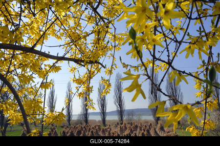 Szigligeti látkép tavasszal-stock-foto