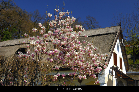Szigligeti látkép tavasszal-stock-foto