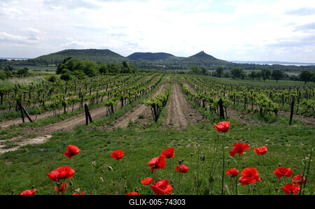 A Balaton-felvidék tanúhegyeinek látványa-stock-foto