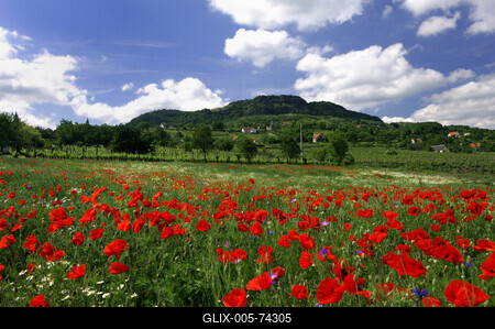 Szent György-hegy-stock-foto