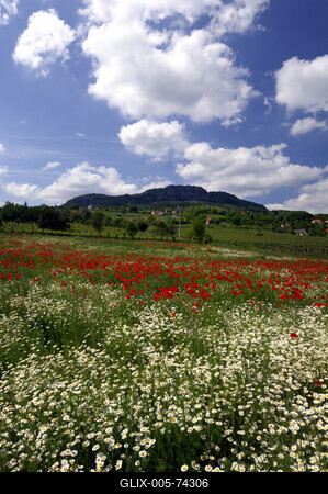 Szent György-hegy-stock-foto