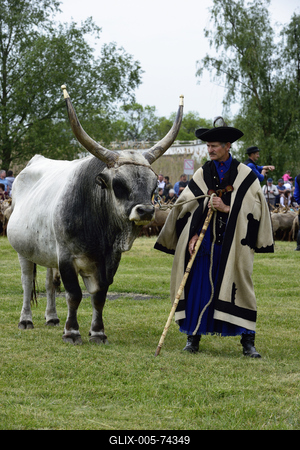 Hortobágy-stock-foto