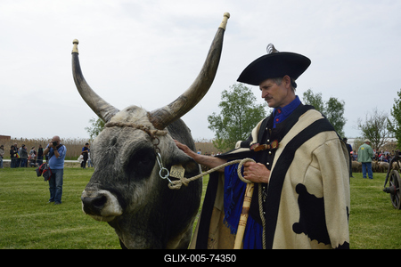 Hortobágy-stock-foto