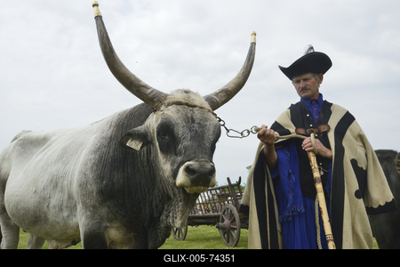 Hortobágy-stock-foto