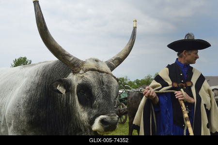 Hortobágy-stock-foto