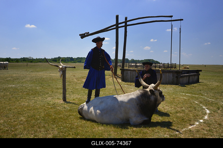 Hortobágy-stock-foto