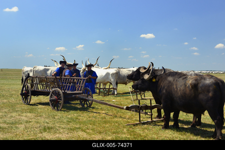 Hortobágy-stock-foto