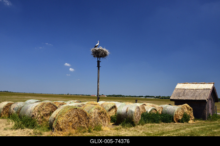Hortobágy-stock-foto