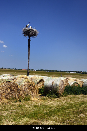 Hortobágy-stock-foto