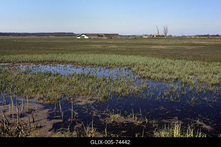 Hortobágy-stock-foto