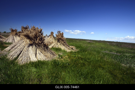 Hortobágy-stock-foto
