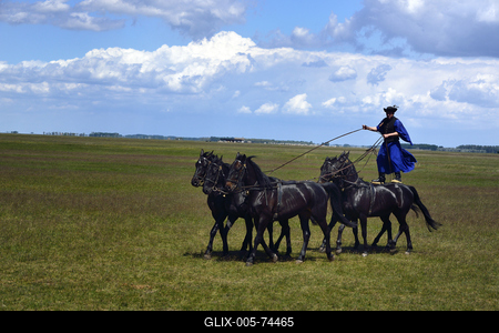 Hortobágy-stock-foto
