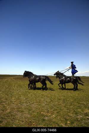 Hortobágy-stock-foto