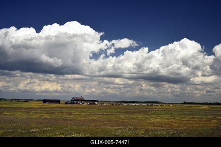Hortobágy-stock-foto