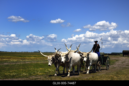 Hortobágy-stock-foto