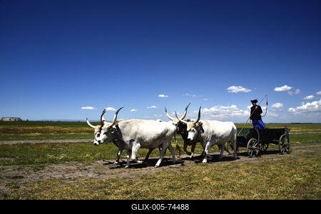 Hortobágy-stock-foto