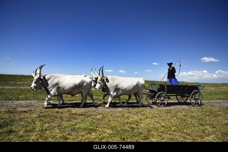 Hortobágy-stock-foto