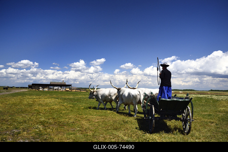 Hortobágy-stock-foto