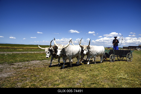 Hortobágy-stock-foto