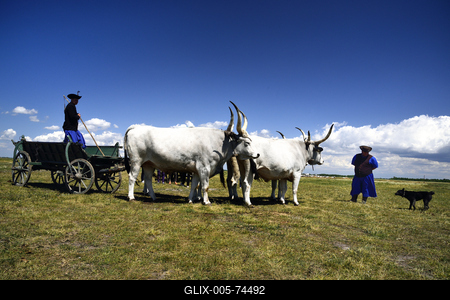 Hortobágy-stock-foto