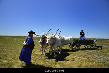 Hortobágy-stock-foto