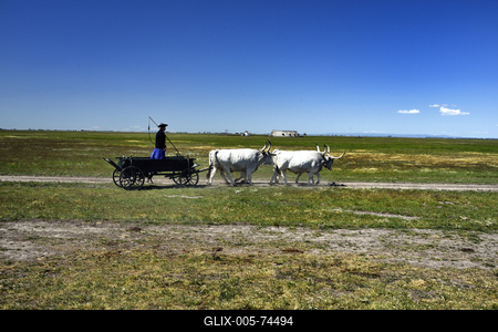 Hortobágy-stock-foto