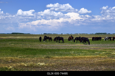 Hortobágy-stock-foto