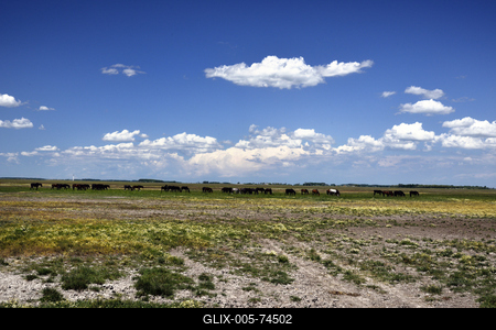 Hortobágy-stock-foto