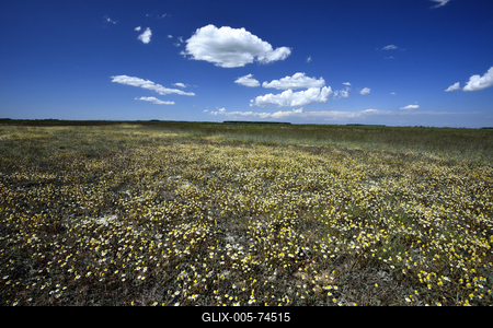 Hortobágy-stock-foto