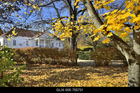 Halász Móricz-kúria Dabason. A klasszicista épület 1821-ben épült.A múzeumként látogatható kastélyban forgatták 1949-ben a Lúdas Matyit, ahol az eredeti biedermeier bútorok elegáns díszletként szolgáltak Döbrögi úr rezidenciájának. Ma egy kiállítási egység a nevezetes film előtt tiszteleg.-stock-foto