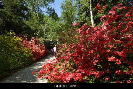 Jeli arborétum-stock-foto