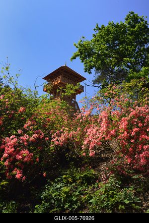 Jeli arborétum-stock-foto